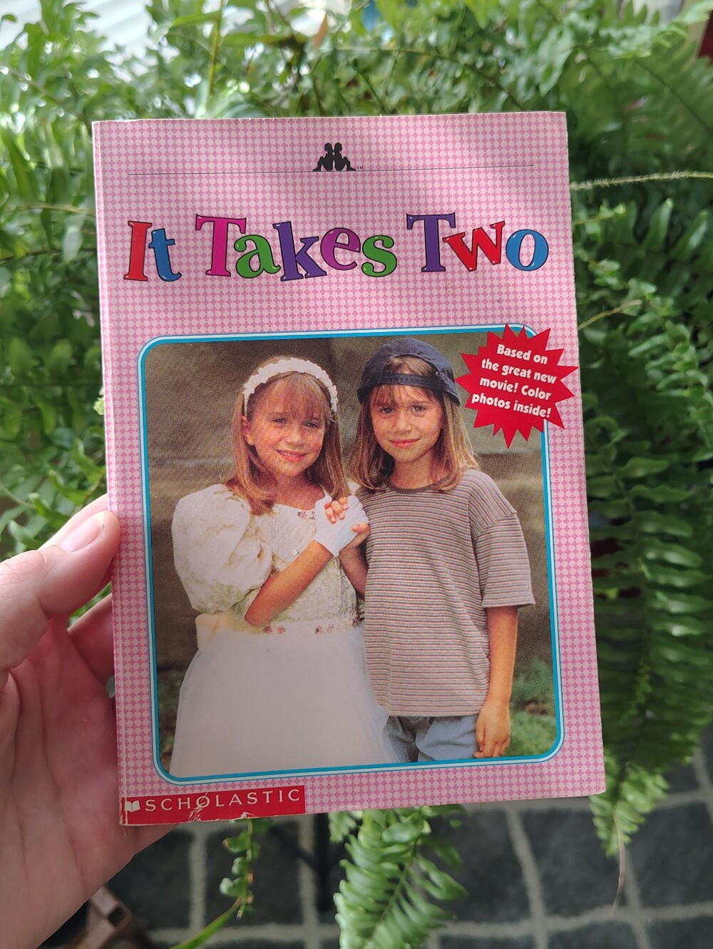 Vintage 1995 Scholastic It Takes Two Book